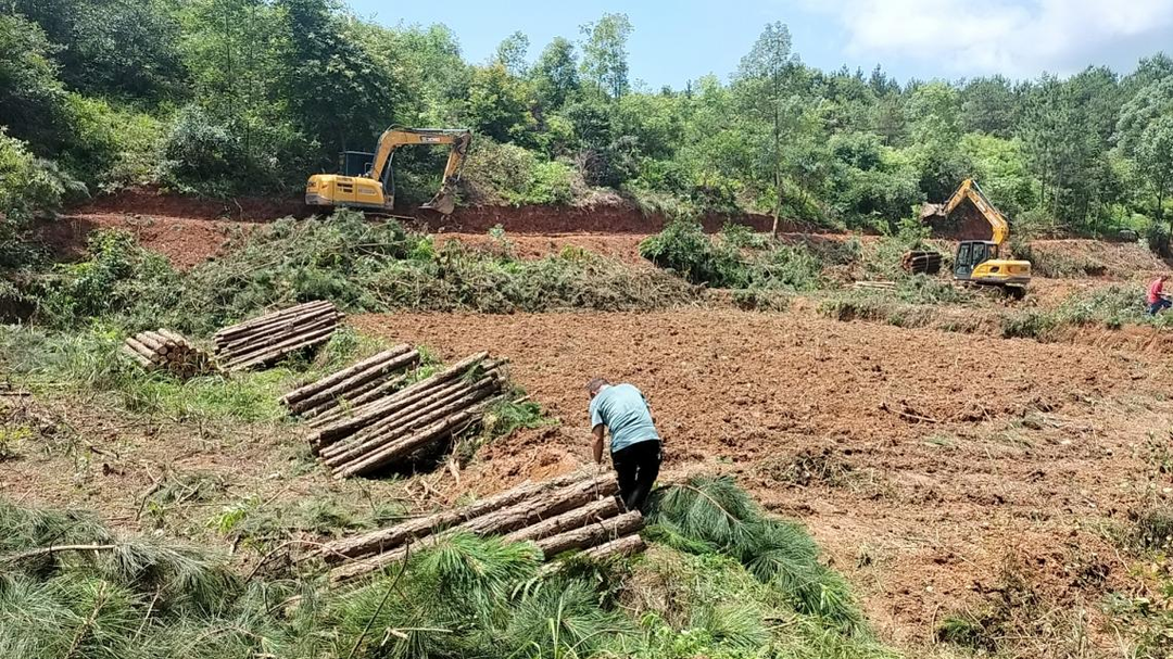 新圩江鎮(zhèn)：多措并舉推進(jìn)耕地恢復(fù)