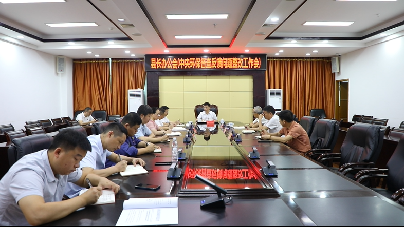 蒋华主持召开县长办公会专题研究中央环保督察反馈问题整改工作