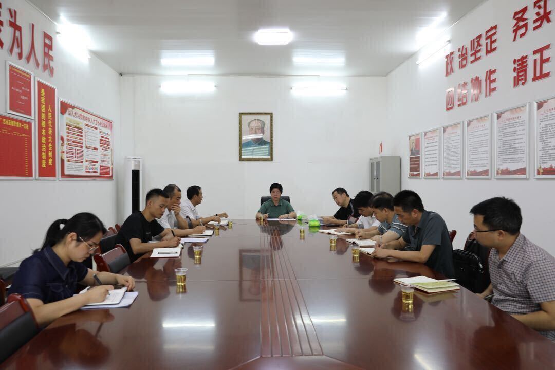 张波调研大庙口镇产业发展和安全生产工作