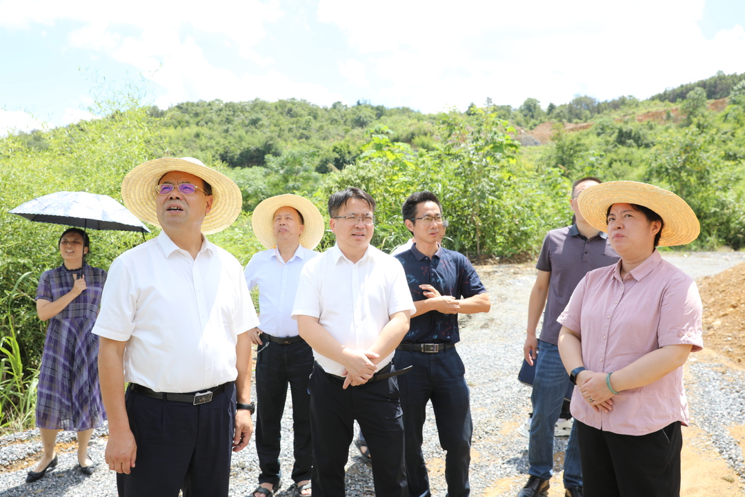 市人大常委會到東安開展大氣污染防治“一法一條例一規(guī)定”執(zhí)法檢查