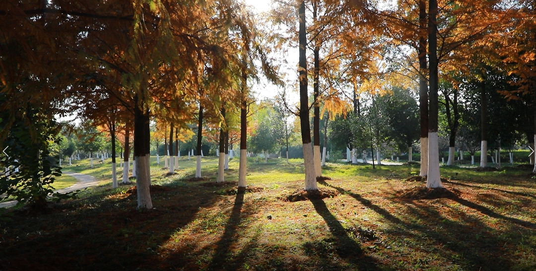 紫水國家濕地公園秋景美如畫(huà)