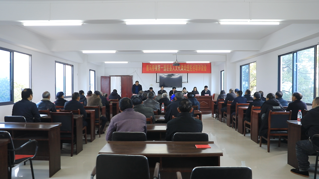 鹿馬橋鎮(zhèn)第一選區(qū)縣人大代表向選民述職