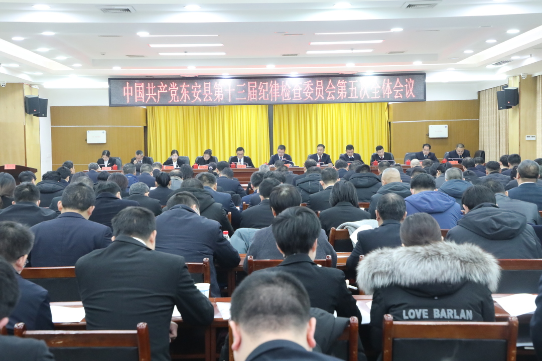 中共東安縣第十三屆紀律檢查委員會第五次全體會議召開第二次、第三次會議