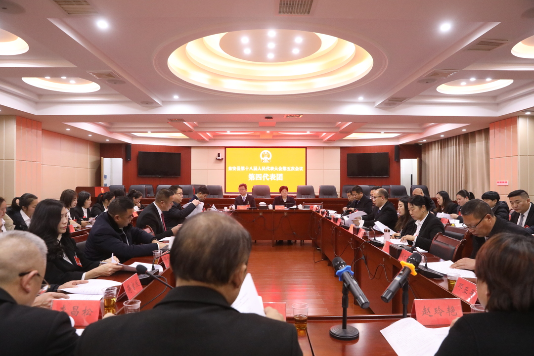 【聚焦兩會】縣十八屆人大五次會議各代表團召開會議
