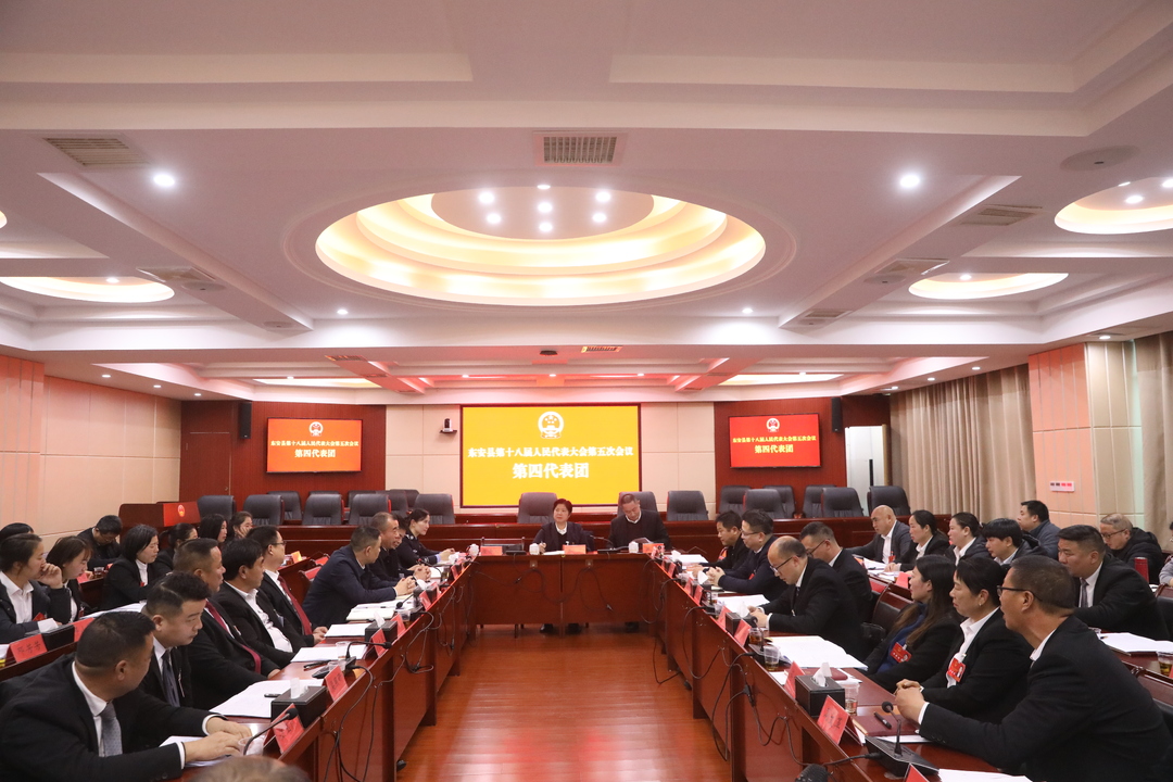 【聚焦兩會(huì )】張波參加縣十八屆人大五次會(huì )議第四代表團討論