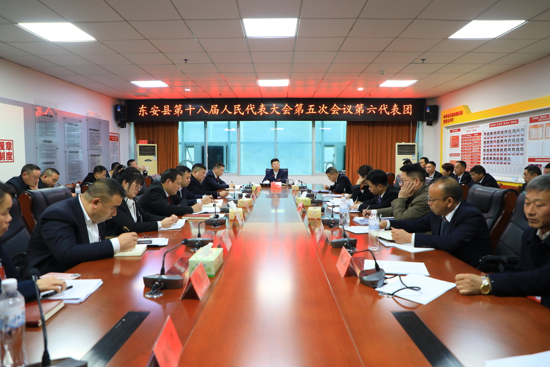 【聚焦兩會】蔣華參加縣十八屆人大五次會議第六代表團分組討論