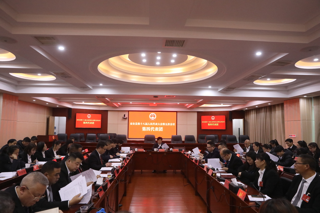 【聚焦兩會】張波參加縣十八屆人大五次會議第四代表團討論