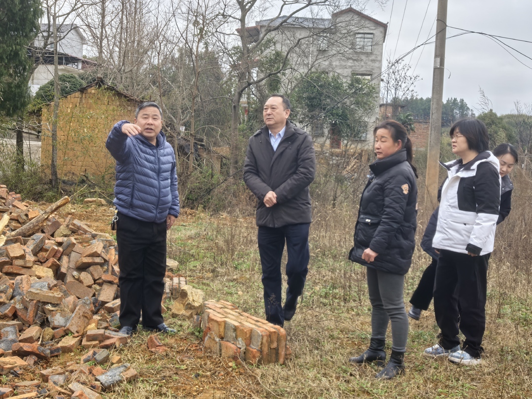 李勁濤到橫塘鎮調研重點(diǎn)信訪(fǎng)事項化解等工作