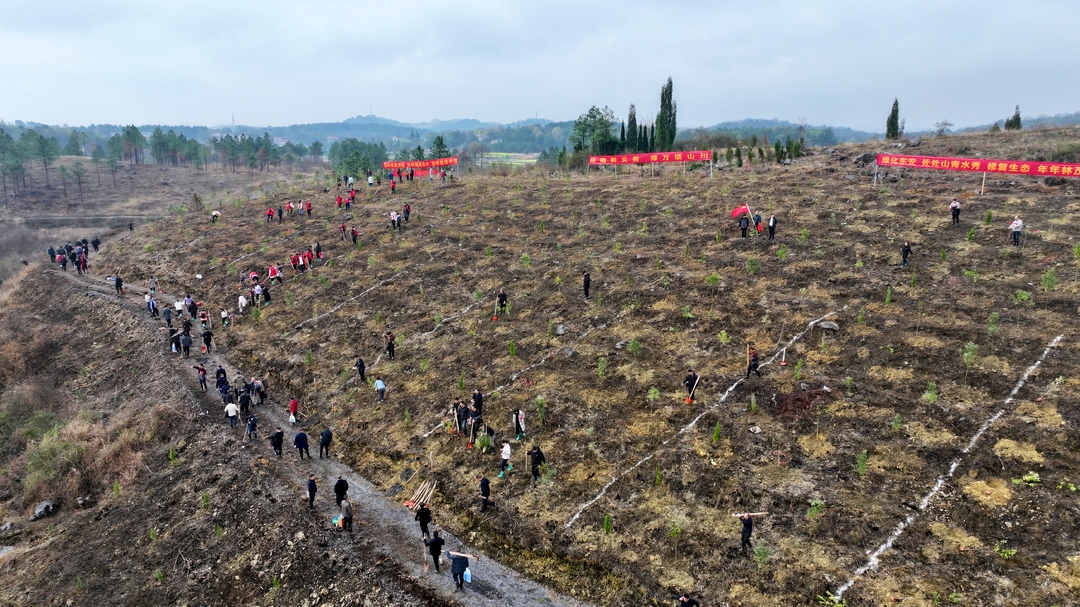 東安縣組織縣直單位干部職工開(kāi)展春季義務(wù)植樹(shù)活動(dòng)