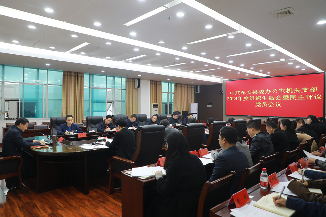 唐何參加縣委辦機(jī)關(guān)黨支部2024年度組織生活會(huì)