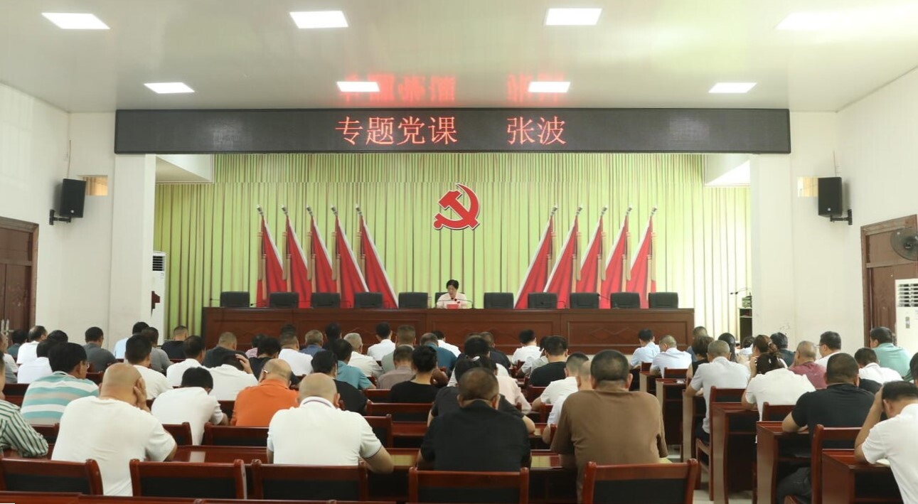 張波到大廟口鎮(zhèn)上專題黨課