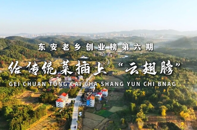 创业榜第六期龙鹏：给传统菜插上“云翅膀”