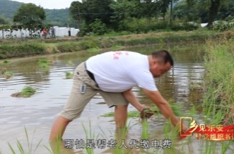 村党组织书记第一期张晓辉：实干绘就“荷”美新画卷
