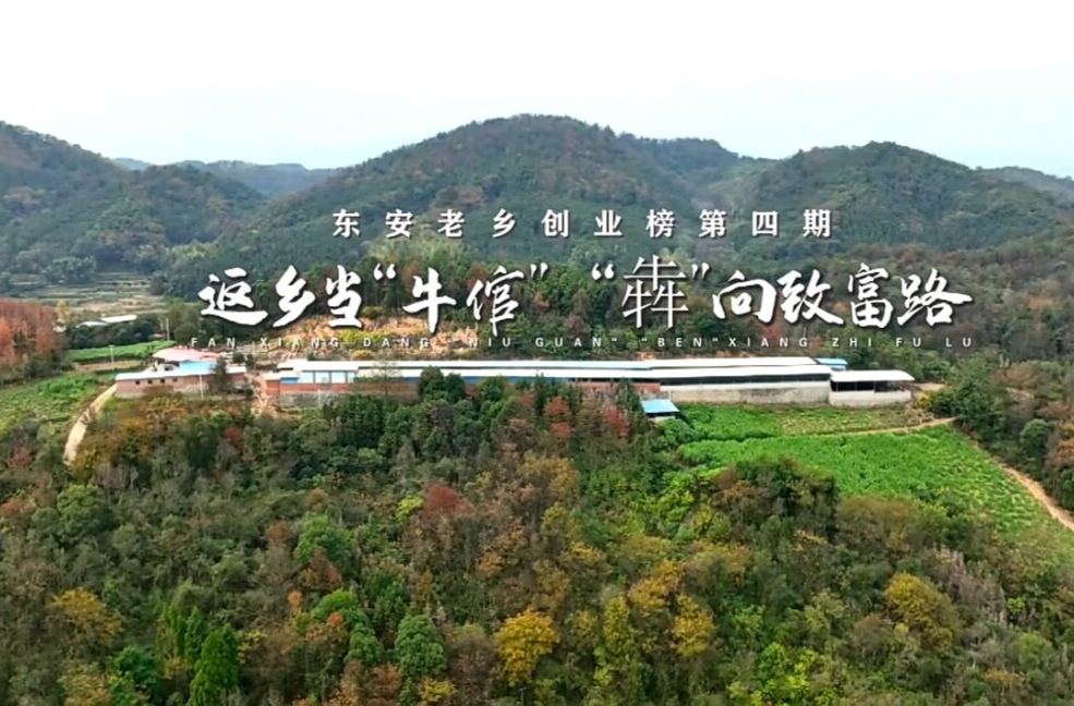创业榜第四期陈松：返乡当“牛倌” “犇”向致富路