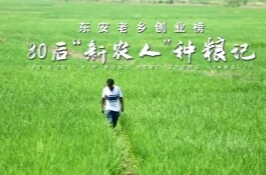 创业榜第一期蒋贵华：80后“新农人”种粮记