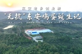 创业榜第二期肖白玲：“无抗”鸡蛋诞生记