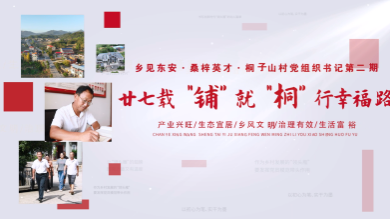 村党组织书记第二期李国生：廿七载“铺”就“桐”行幸福路