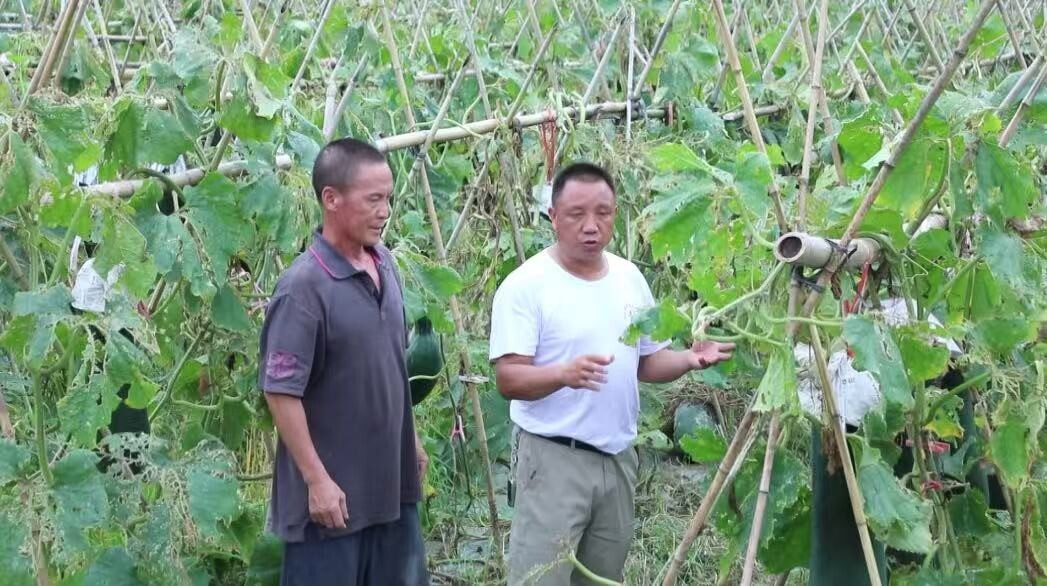 湖南东安：“保姆式”服务暖人心 “外来户”变身“新村民”