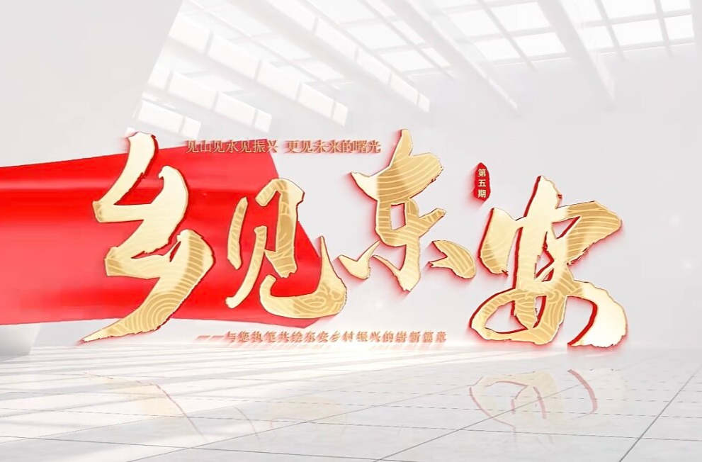 大型综合栏目《乡见东安》第五期：民生温度+科技高度+交通速度