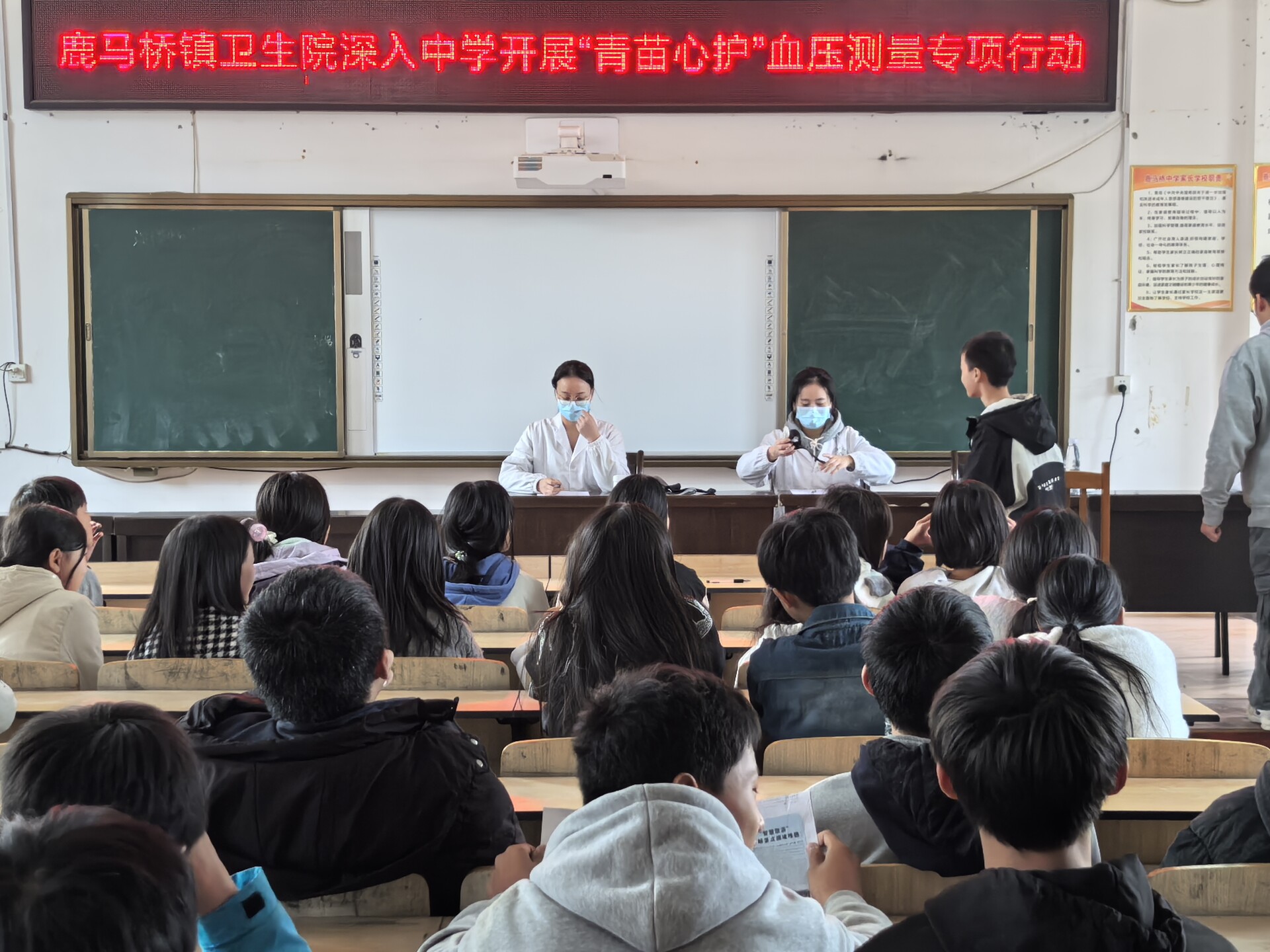 鹿马桥镇卫生院开展“青苗心护”行动进校园活动