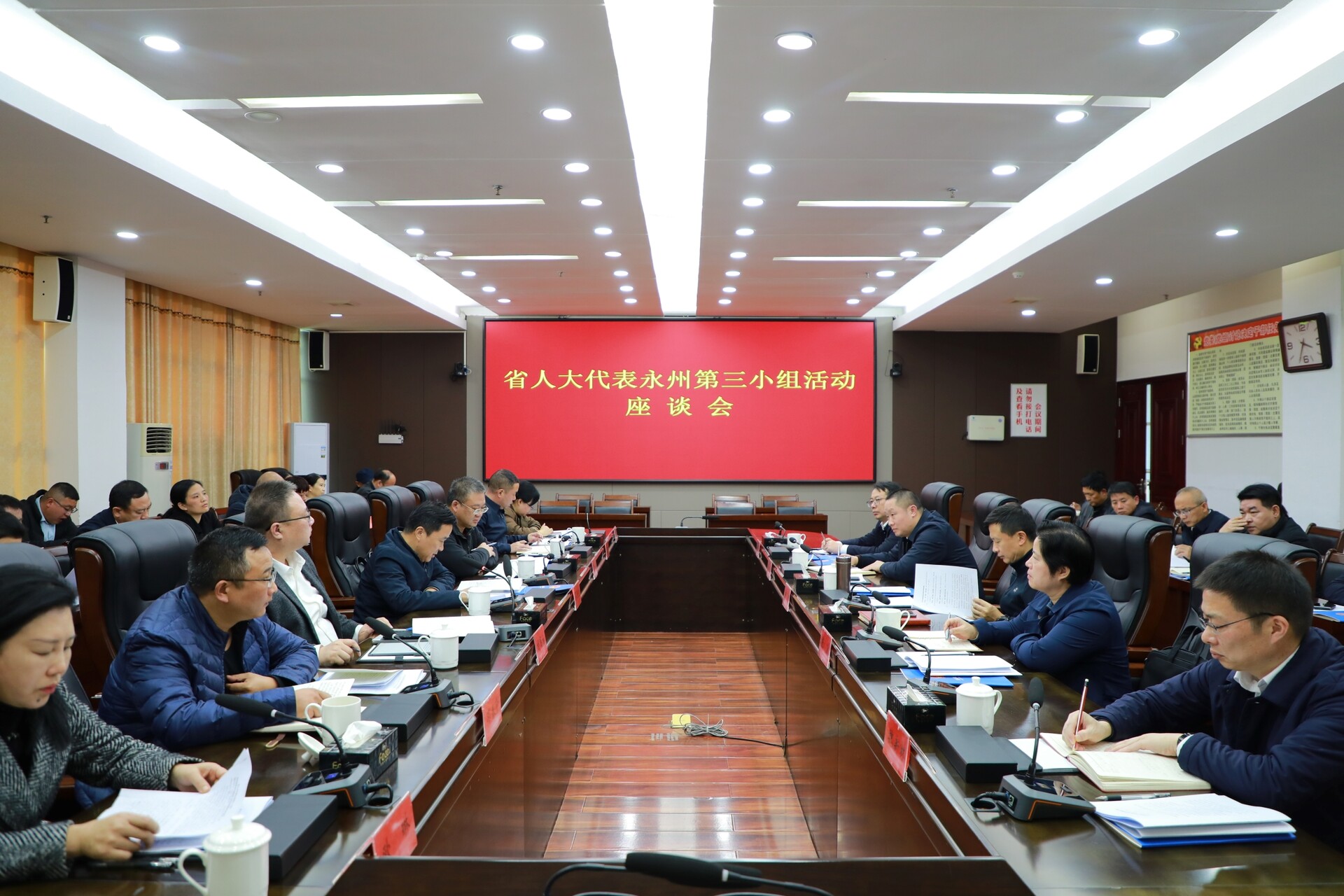 省人大代表永州第三小组在东安开展代表小组主题活动