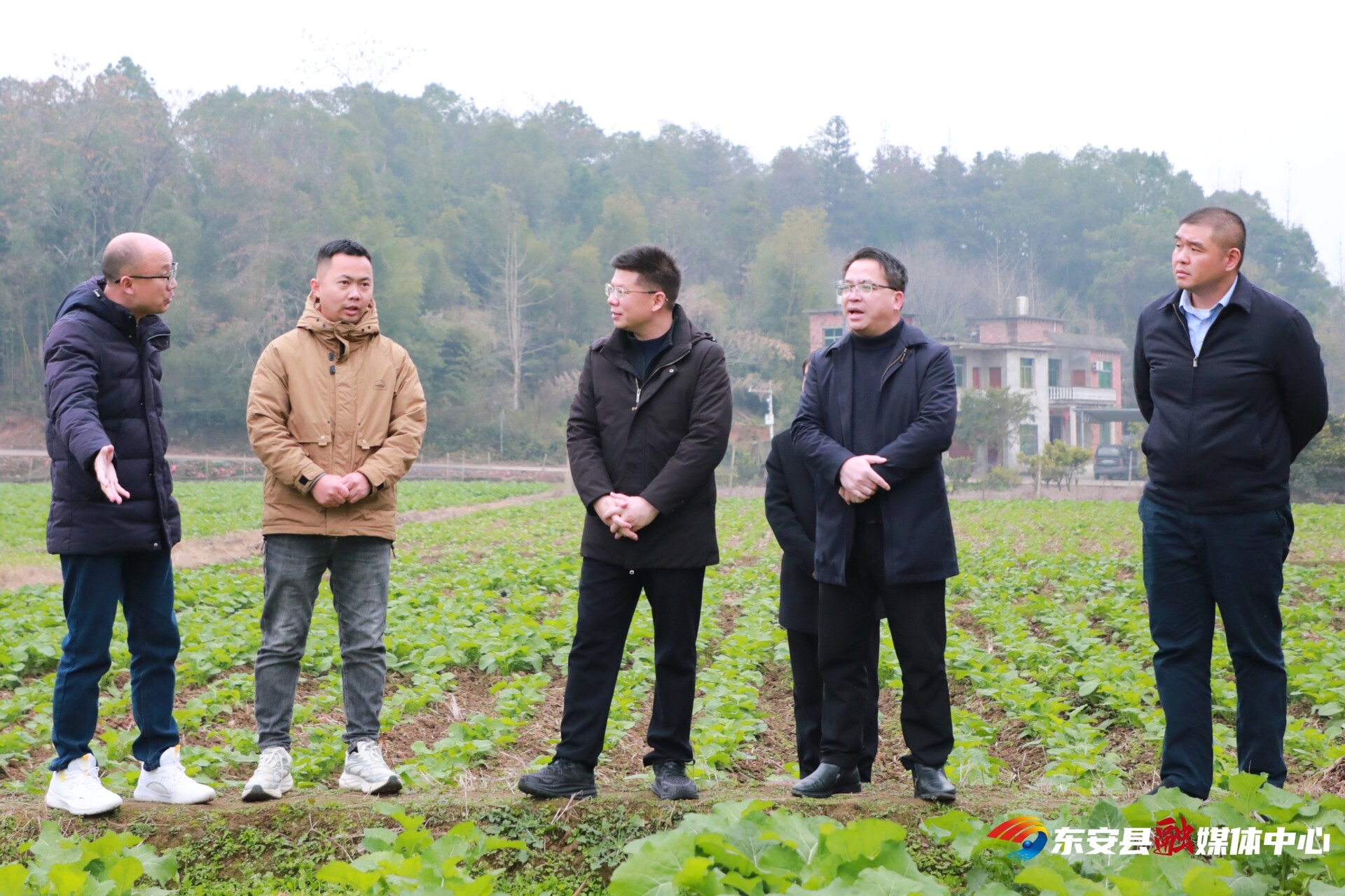蒋华调研秋冬农业生产和农业产业工作