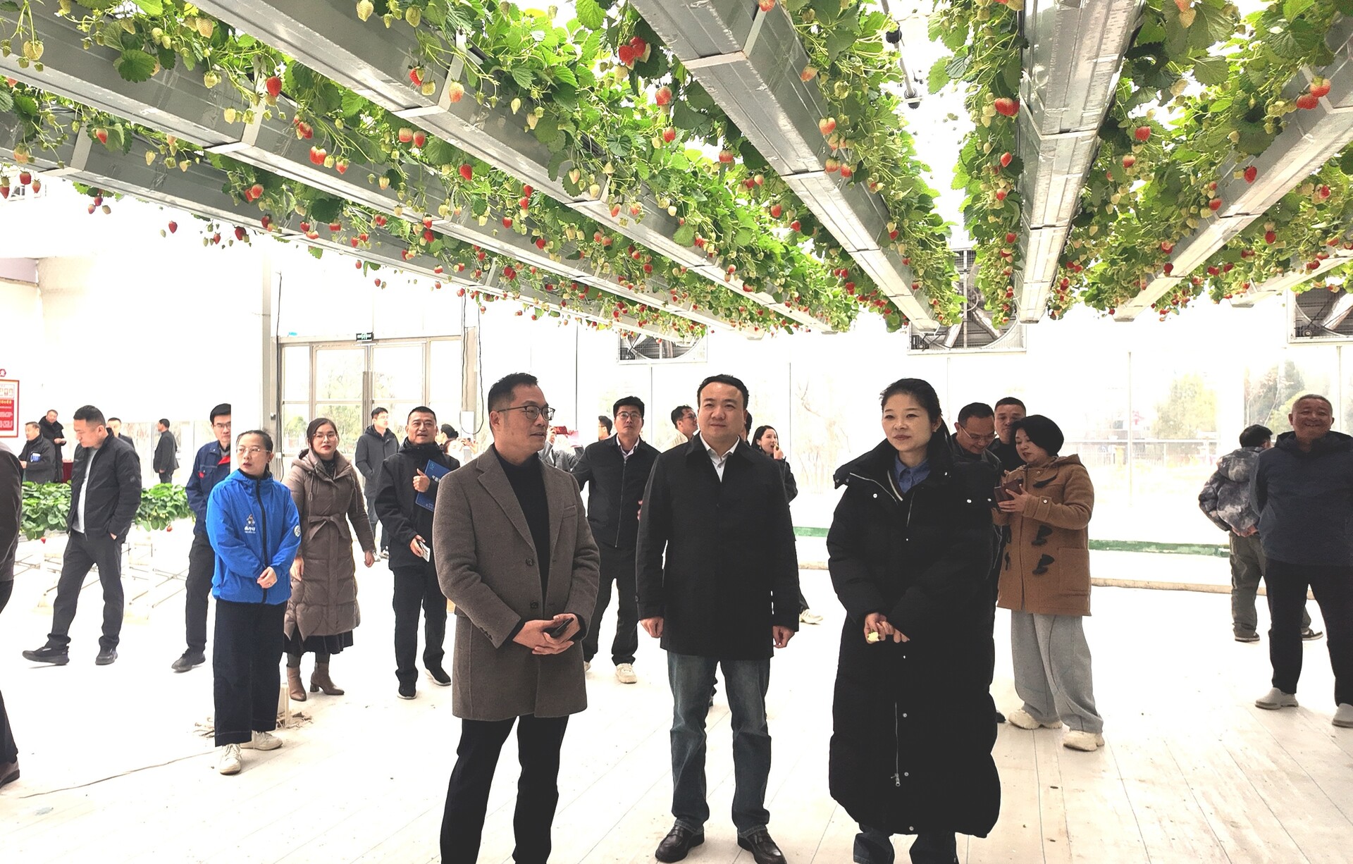 苏企代表团来东安共筑湘苏协作新篇