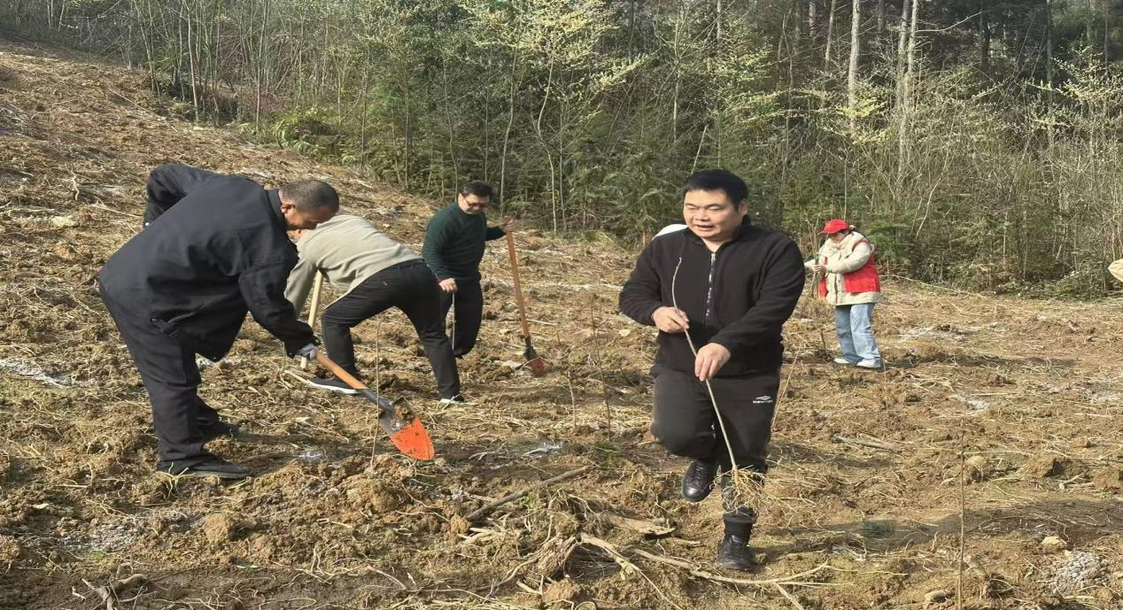 东安县大庙口镇：好雨知时节，造林正当时