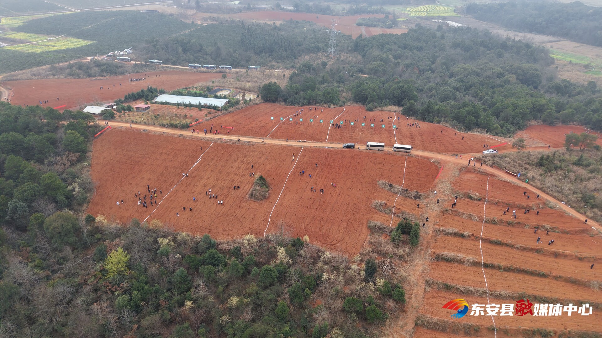 东安：荒山种油茶添绿又增收