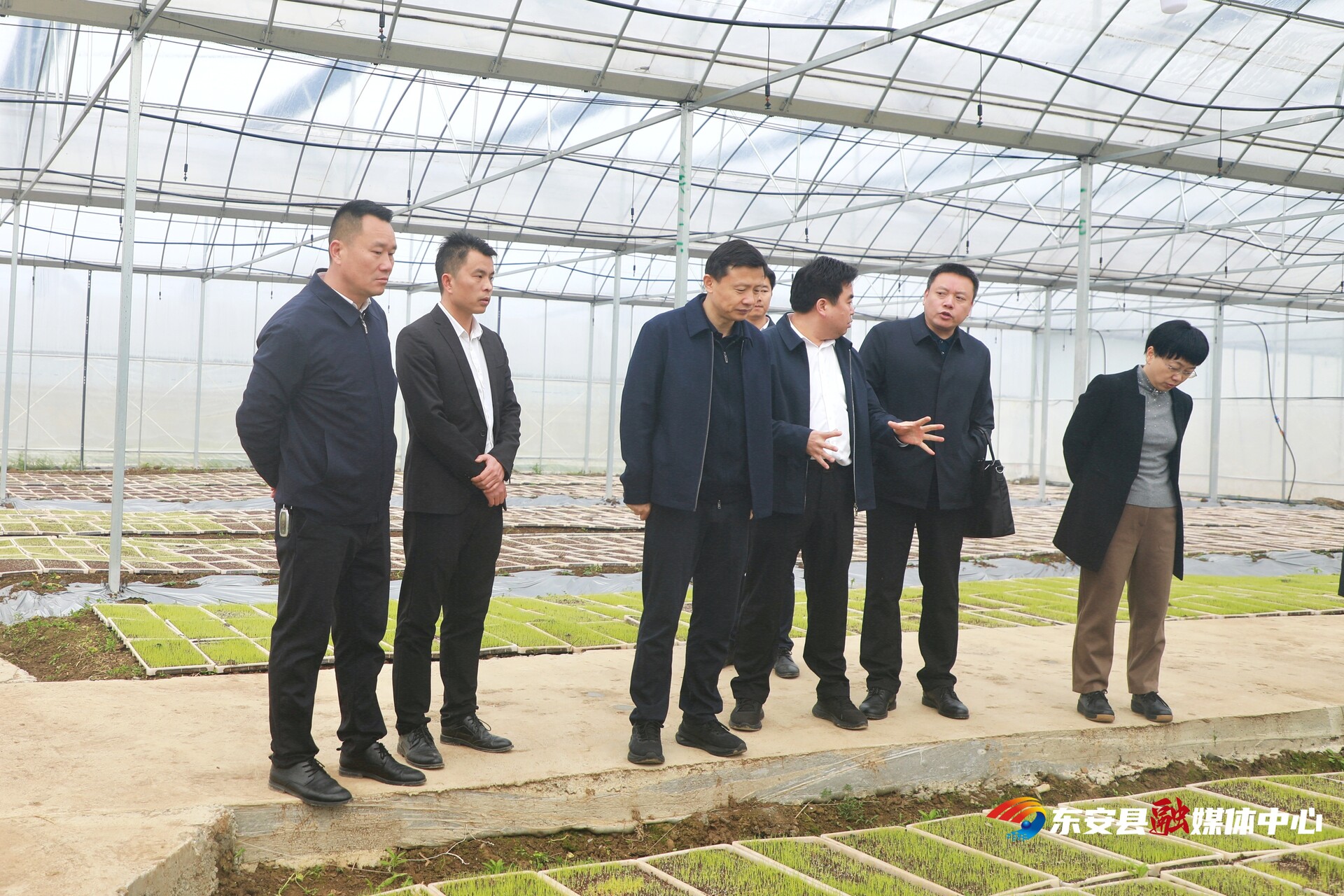 唐何调研粮食生产工作